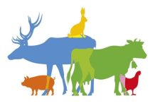 Organizaciones sociales promueven en Francia un referéndum en defensa del bienestar animal