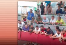 Anuncian querella contra toreros en presunta pelea ilegal de gallos Toreros en pelea de gallos