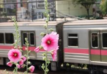 El tren de cercanías concentra el 90% de los viajeros y sólo un 5,5% de inversiones