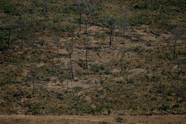Zona deforestada en el Amazonas