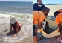 Denuncian al responsable de la muerte de un pez luna en Almería