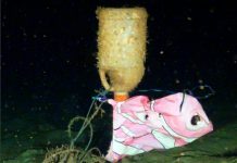 Plaga de plásticos en las profundidades marinas de Europa