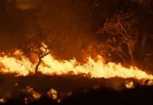 «Aparca la soja» nos explica como somos cómplices de la destrucción amazónica Llamas devoran bosque amazónico