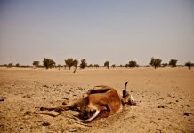 El 1% más rico emite más del doble de carbono que la mitad más pobre