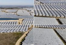 Doñana está «muy lejos de salir de la UVI» debido al regadío ilegal