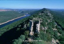 «Controles de población» que ocultarían permisos para cazar en pleno Parque Nacional