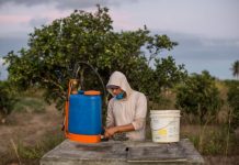 Docenas de pesticidas más cerca del plato con el Tratado UE-Mercosur