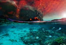 Viajando en el tiempo a la extinción masiva del Pérmico-Triásico