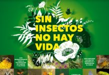 Sin insectos no hay vida