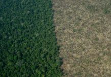 El Pueblo Karipuna frena la deforestación en la más amenazada Amazonia