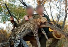 PETA revela el papel del presidente de Sudáfrica en el negocio de la caza
