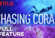 Chasing Coral