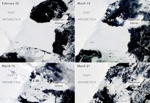 Colapso en la Antártida de plataforma de hielo de más de 1.200 kilómetros cuadrados Colapso de hielo en la Antártida