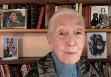 «Quería irme a África y escribir libros de animales, pero todos se reían de mi»