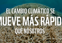 Pedimos una reducción urgente de las emisiones en todos los sectores para evitar el caos climático