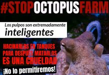 Movilización contra las macrogranjas de pulpos Cartel contra las granjas de pulpos