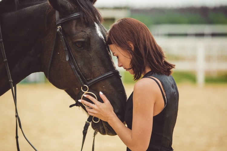 Chica aprende a relacionarse con caballo, acariciándolo antes de montarlo