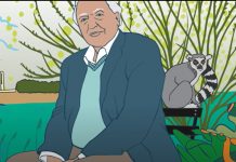 David Attenborough: «Tenemos la oportunidad de enmendarnos y volver a ser una especie en equilibrio con la naturaleza» Ilustración sobre David Attenborough