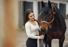 Caballos, fascinantes compañeros Mujer con camiseta blanca acaricia caballo negro