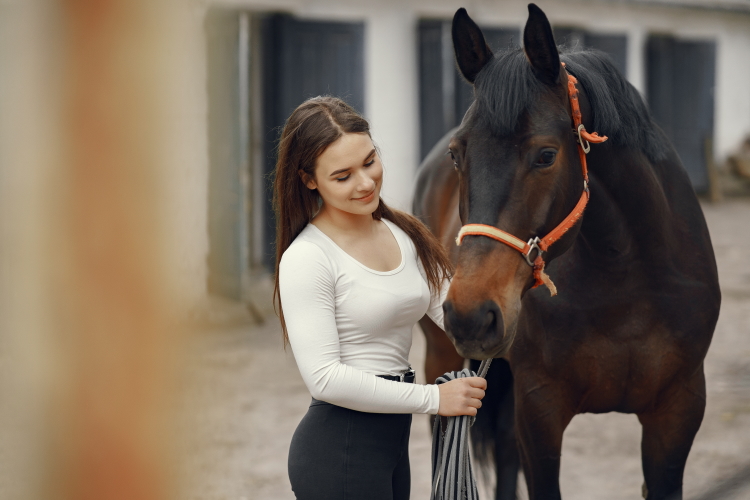 Mujer con camiseta blanca acaricia caballo negro