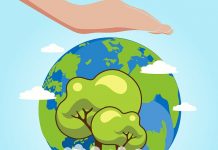 10 medidas ecologistas frente a la crisis basadas en biodiversidad, financiación, energía y modelo alimentario Manos acogen planeta con árboles superpuestas