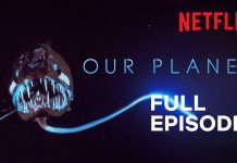Our Planet – High Seas