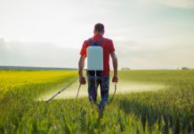 Residuos de petróleo en pesticidas multiplican su toxicidad y potencial cancerígeno