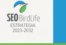 Revivimos naturaleza: Nueva Estrategia de SEO/BirdLife 2023-2032