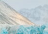 Oso polar en el entorno de un glaciar en el archipiélago de Svalbard