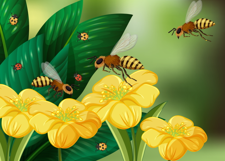 Abejas e insectos en torno a flores amarillas